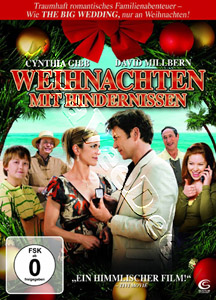 An Accidental Christmas |   DVD